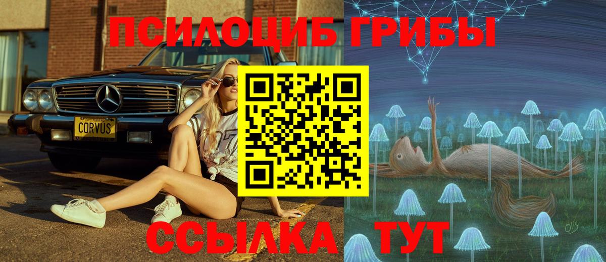 Галлюциногенные грибы Psilocybe  что такое наркотик  Бийск  Вход с VPN 